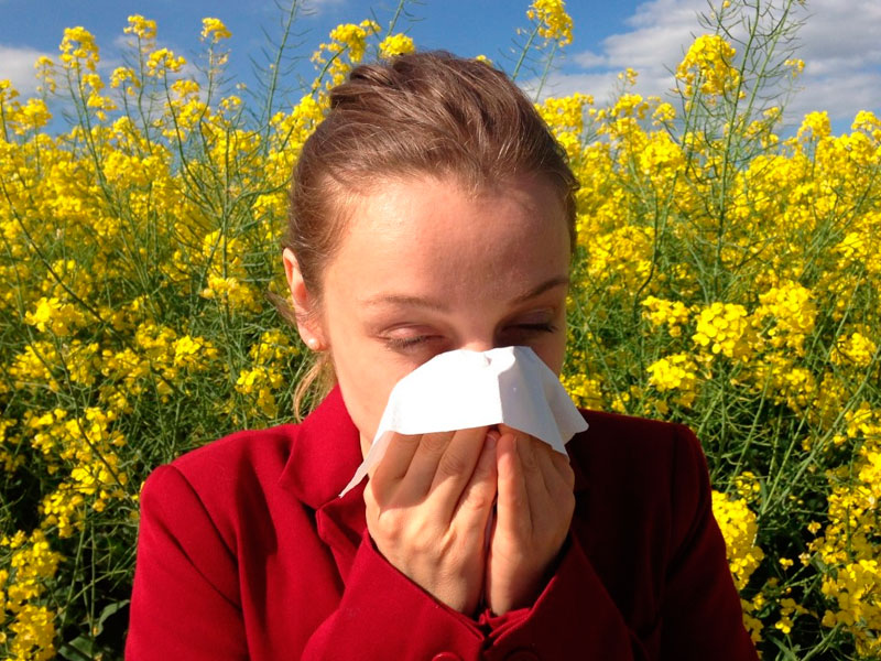 alergias durante todo el año